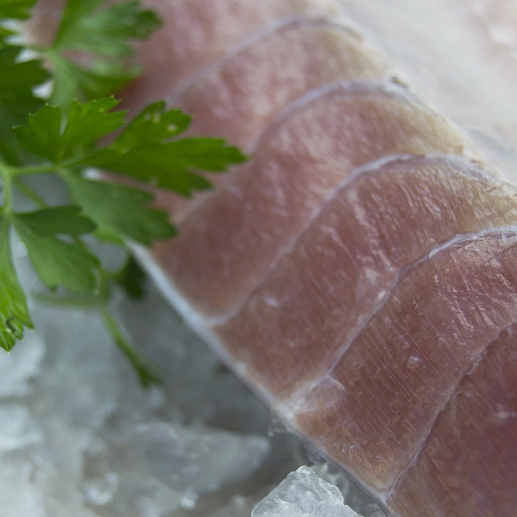 Ventresca tonyina vermella salvatge