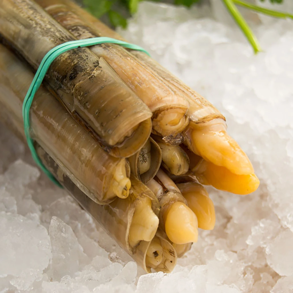 Canyut del delta (manat de 12)